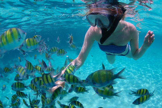 mnemba tours