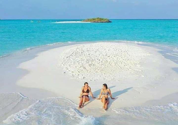 sand bank captain ally tours