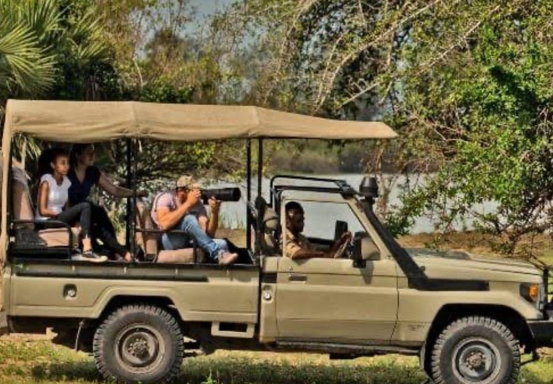 zanzi pride tours safaris